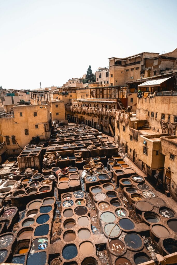 mauro lima buva1ofvtmy unsplash