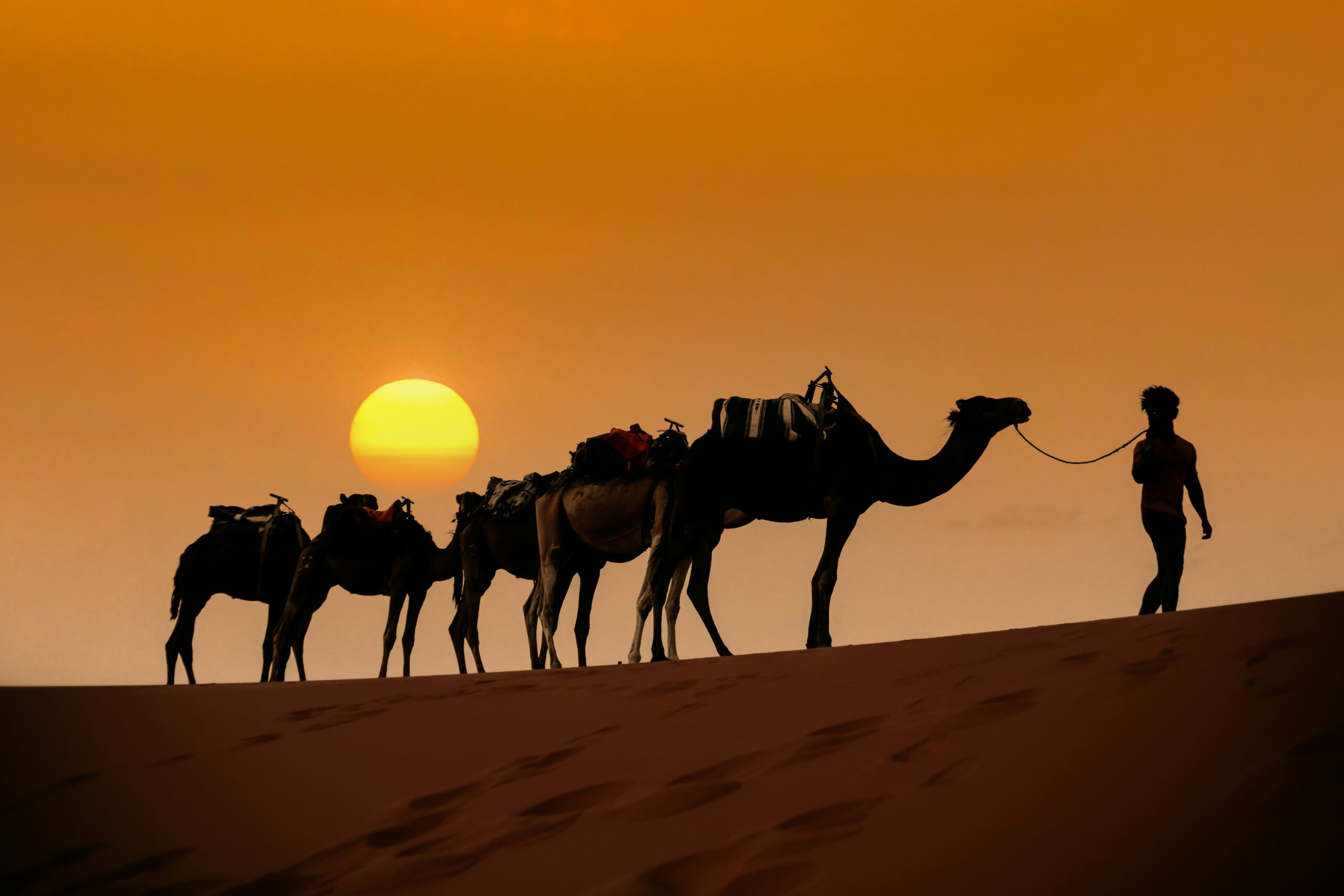 Best Marrakech Tours featuring day tours, desert trips, and Marrakech excursions