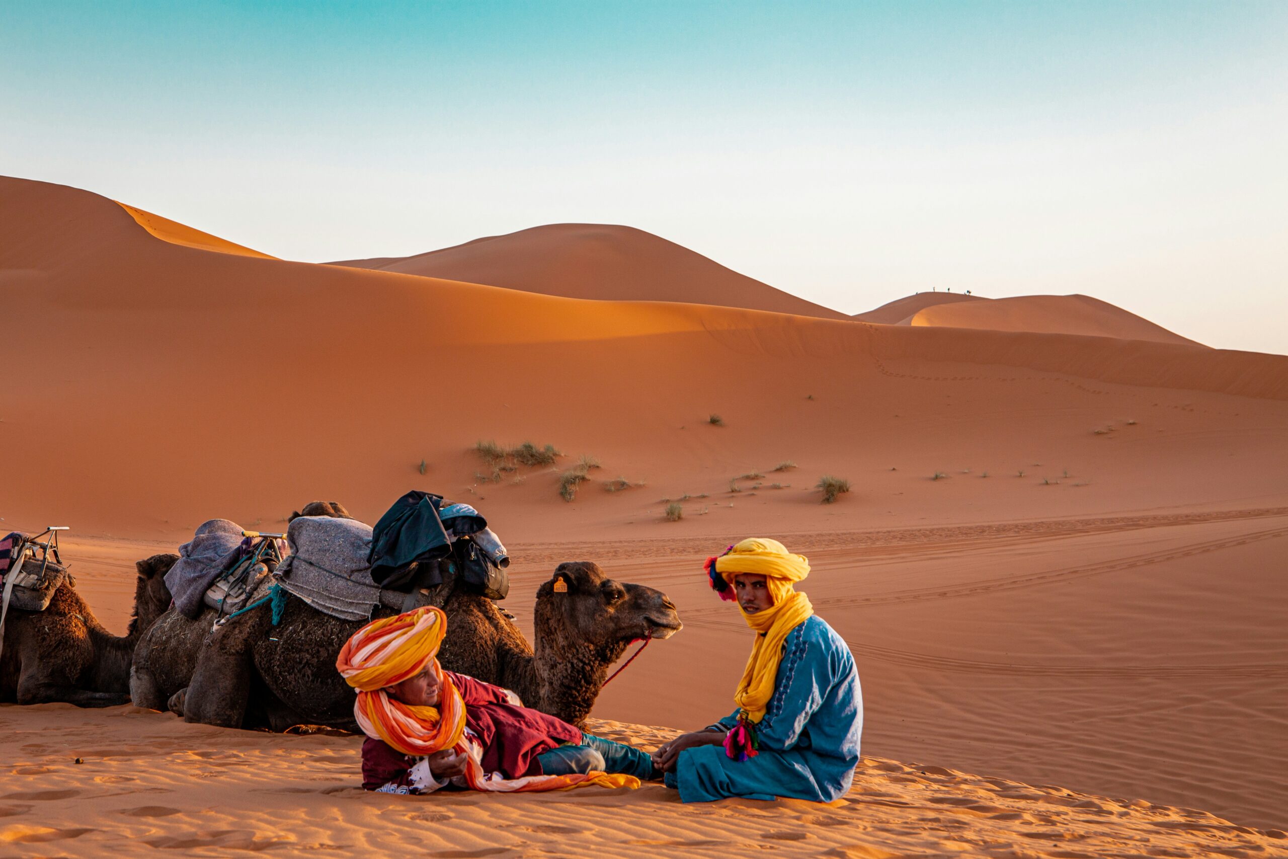 Camel trekking in Sahara desert Morocco during sunset