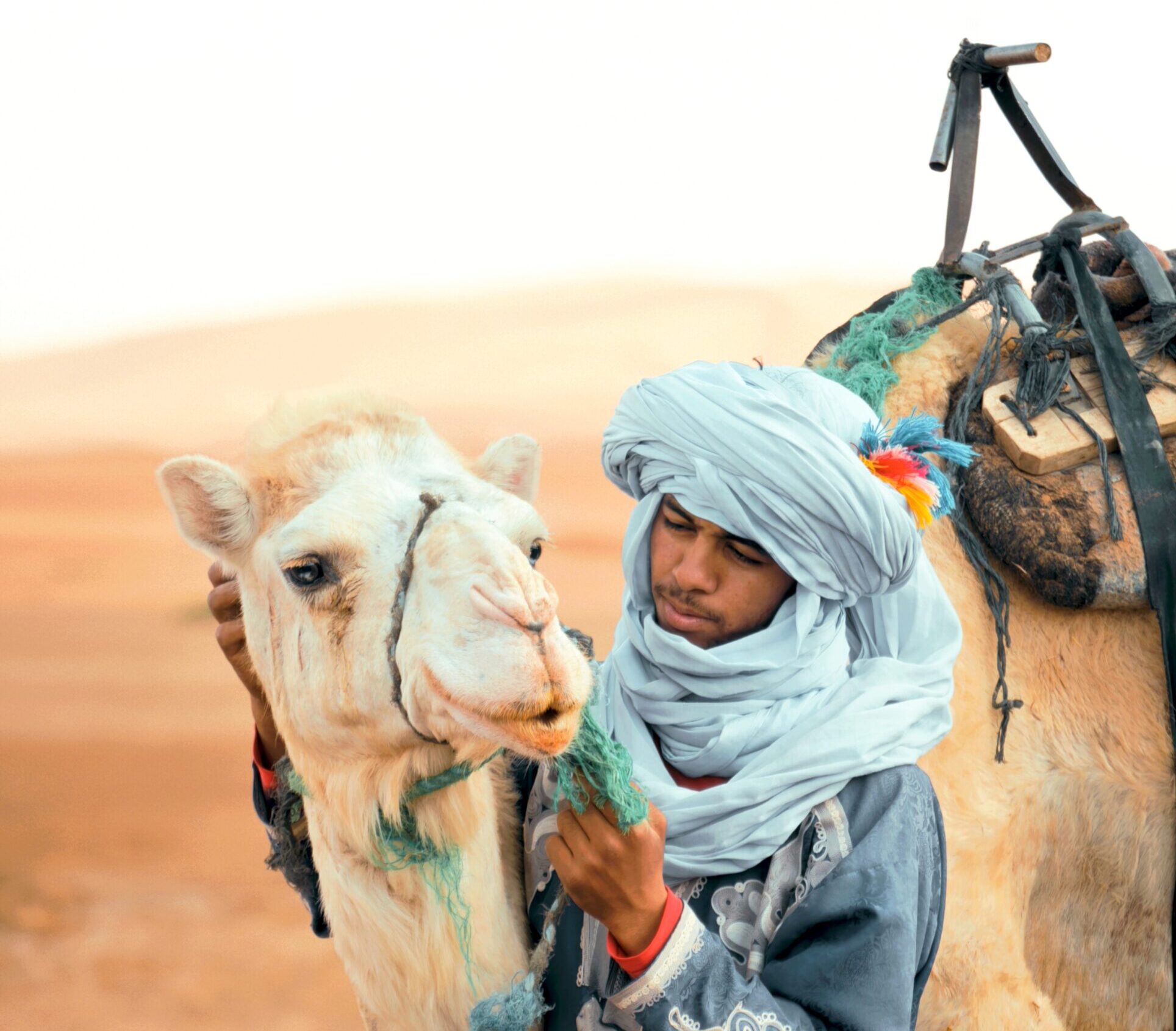 Camel trekking in Erg Chebbi dunes during a 3-day Fes to Merzouga desert tour